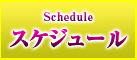 スケジュール