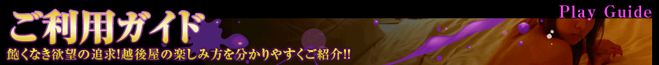 ご利用ガイド